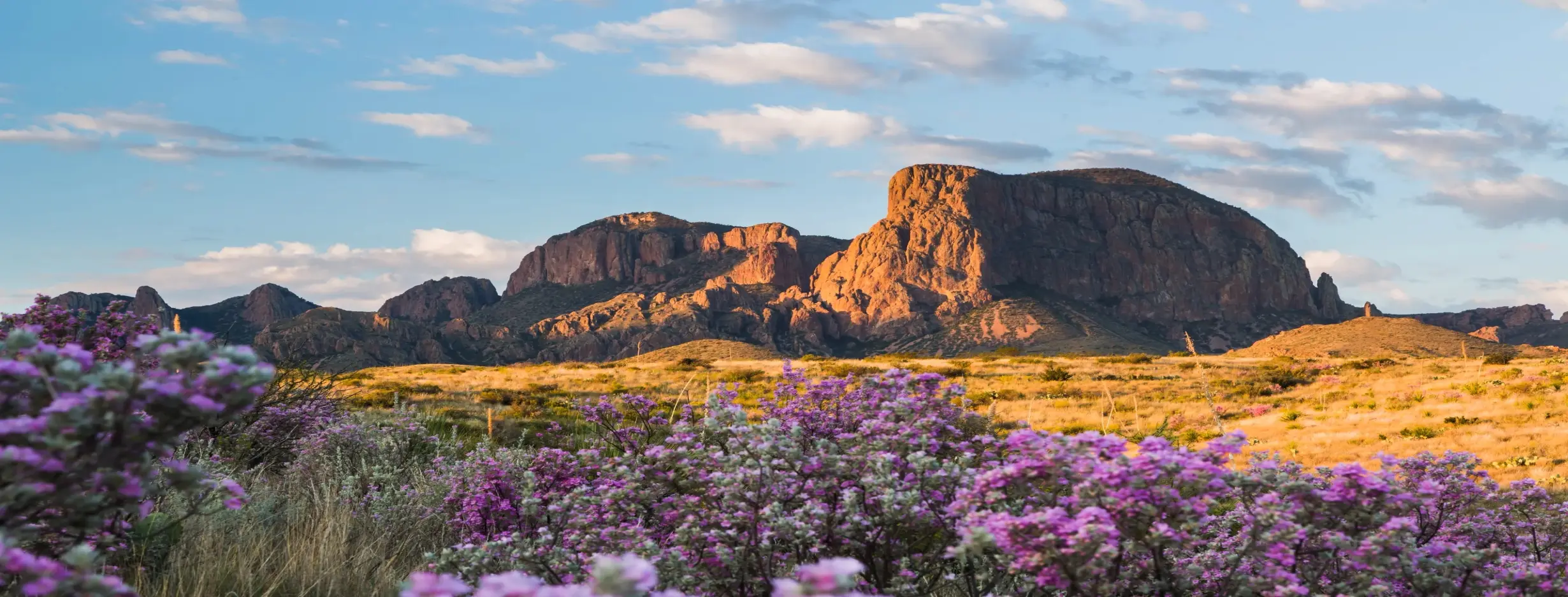 Image for A Journey Through Natural Wonders